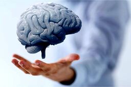 واقعا روزه تقویت کننده حافظه است؟