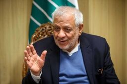 بادامچیان: زنان کم‌حجاب هر شب در تجمعات حاضرند