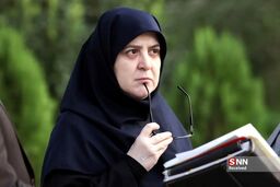مهاجرانی: کاهش تعرفه واردات خودرو در دستور کار است
