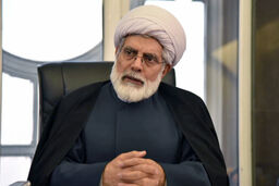 محسن رهامی: اگر نهادهای مدنی و دانشگاه‌ها وارد می‌شدند، اعتراضات دی‌ماه به خشونت نمی‌کشید