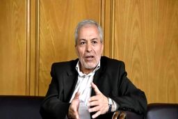 میرلوحی: حاکمیت باید مراقب باشد دوباره آن اتفاقات تکرار نشود  