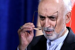 صالحی: همه قائم به ایران هستیم؛ نگذاریم این ستون بشکند