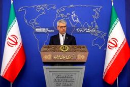 بقائی: آمریکا، بازیگری یاغی و تهدیدی برای صلح جهانی است