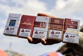 عکس | جنگ غزه و قحطی تنباکو؛ سیگاری‌ها ناگزیر به «ملوخیه» پناه بردند