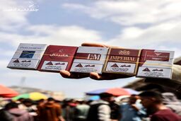 عکس | جنگ غزه و قحطی تنباکو؛ سیگاری‌ها ناگزیر به «ملوخیه» پناه بردند