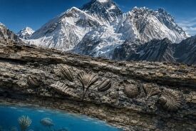 از اعماق دریا تا بام جهان؛ ردپای یک اقیانوس باستانی در اورست