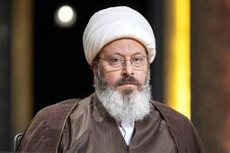 اظهارات جدید قاسمیان: 
واشنگتن را اشغال کنید؛ ترامپ را دستگیر کنید و به ایران بیارید