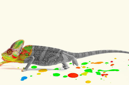 مدیر جسورتان چگونه همرنگ جماعت می‌شود؟