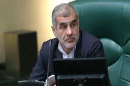 نیکزاد: ایستادگی هزینه دارد، اما تسلیم‌شدن هزینه‌ای بسیار سنگین‌تر