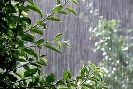 آیا بارش‌ها توانستند شدت معضل کم‌آبی را کاهش دهند؟
