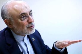 علی اکبرصالحی: نمی توانیم با دنیا به این شکل تعامل کنیم، چون روز به روز ضعیف‌تر و تنهاتر می‌شویم