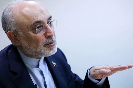 علی اکبرصالحی: نمی توانیم با دنیا به این شکل تعامل کنیم، چون روز به روز ضعیف‌تر و تنهاتر می‌شویم