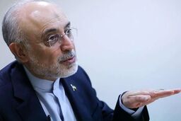 علی اکبرصالحی: نمی توانیم با دنیا به این شکل تعامل کنیم، چون روز به روز ضعیف‌تر و تنهاتر می‌شویم