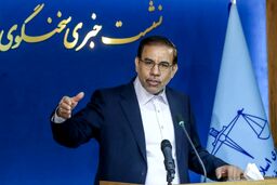 سخنگوی قوه قضائیه: هرگونه همکاری اطلاعاتی با اسرائیل و آمریکا توقیف اموال و اعدام در پیش دارد