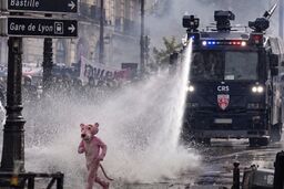 پلنگ صورتی در اعتراضات فرانسه؛ ردپای هوش مصنوعی در یک خبر پربازدید