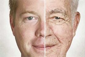 سن واقعی بدن؛ چرا بعضی‌ها زودتر پیر می‌شوند؟
