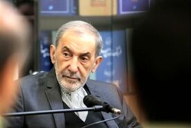 ولایتی: آرامش امروز باب‌المندب دشمن را به اشتباه نیندازد