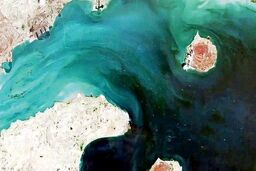 چرا به تنگه هرمز؛ digital chokepoint یا «گلوگاه دیجیتال» اقتصاد جهانی می‌گویند؟