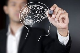 ۷ دشمن مغز پس از ۵۰ سالگی