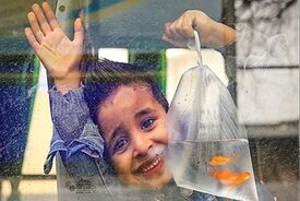 میان سوگ و امید؛ مردمی که با زخم‌های جنگ به استقبال نوروز می‌روند