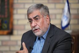 علی جنتی: تعدد شوراهای عالی اداره کشور را دشوار کرده است