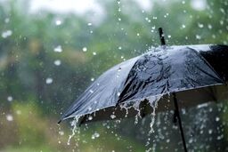 هفته‌ای بارانی و پرباد در راه است
