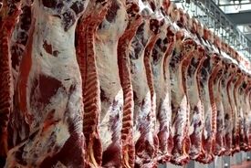 قیمت گوشت کاهش می‌یابد | عرضه گوشت قرمز به قیمت هرکیلو ۸۵۰هزار تومان
