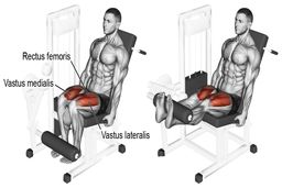 آشنایی با حرکات | جلوپا دستگاه چطور انجام می شود؟
