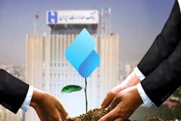 رکوردشکنی سپینو در سال ۱۴۰۴؛ رشد ۹۴۴ درصدی تراکنش‌های نئوبانک صادرات ایران