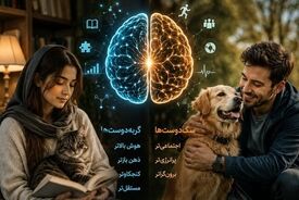 گربه یا سگ؟ انتخاب شما شاید بیشتر از یک سلیقه ساده باشد!