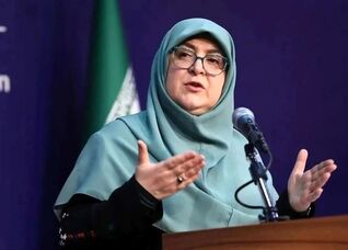 ببینید | سخنگوی دولت: فشار اقتصادی مستقیم حاصل تحریم‌هاست