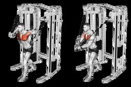 آموزش کراس اور سیم‌کش 