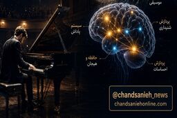 یک آهنگ، هزار واکنش؛ وقتی موسیقی بدن را غافلگیر می‌کند
