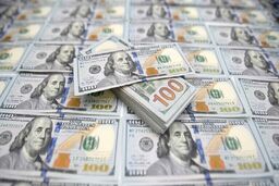 چرا مسیر دلار تغییر کرد ؟ تحلیلی درباره قیمت دلار در هفته آخر سال
