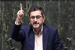 نماینده مجلس تصاویر سران اروپایی را به سطل زباله انداخت
