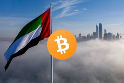 چرا صندوق‌های ثروت ابوظبی در ریزش ۲۳ درصدی بیت‌کوین خرید کردند؟