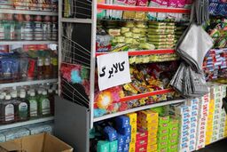 امکان ثبت درخواست اعتبار کالابرگ از طریق بله فراهم شد