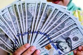بازار دلار بانکی داغ شد؛ مشکل خریداران چیست؟
