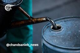رویترز خبر داد: هند خرید نفت ایران را از سر می‌گیرد